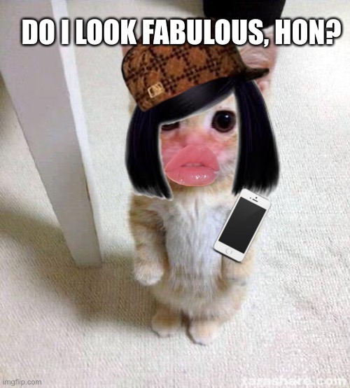 DO I LOOK FABULOUS, HON? | image tagged in pie charts | made w/ Imgflip meme maker