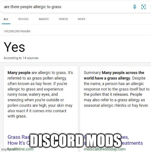 DISCORD MODS | made w/ Imgflip meme maker