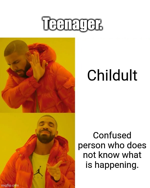 Drake Hotline Bling Meme | Teenager. Childult; Confused person who does not know what is happening. | image tagged in memes,drake hotline bling | made w/ Imgflip meme maker