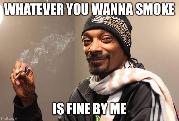 Snoop Dogg | WHATEVER YOU WANNA SMOKE; IS FINE BY ME | image tagged in snoop dogg | made w/ Imgflip meme maker