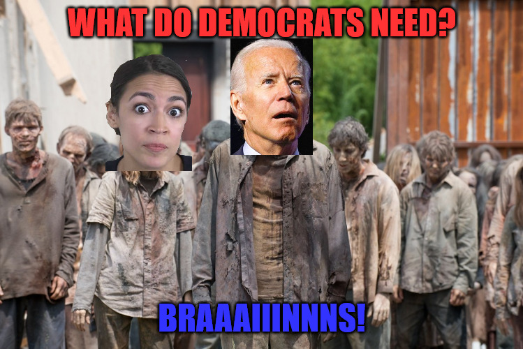 D Zombies | WHAT DO DEMOCRATS NEED? BRAAAIIINNNS! | image tagged in zombies | made w/ Imgflip meme maker