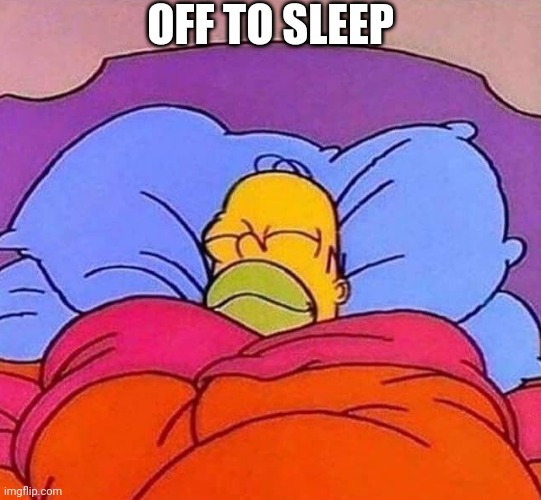 Homer Simpson sleeping peacefully | OFF TO SLEEP | image tagged in homer simpson sleeping peacefully | made w/ Imgflip meme maker