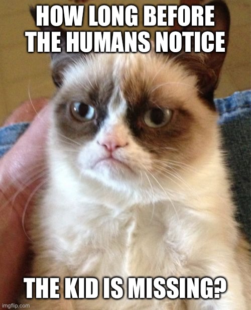 Grumpy Cat Meme | HOW LONG BEFORE THE HUMANS NOTICE THE KID IS MISSING? | image tagged in memes,grumpy cat | made w/ Imgflip meme maker