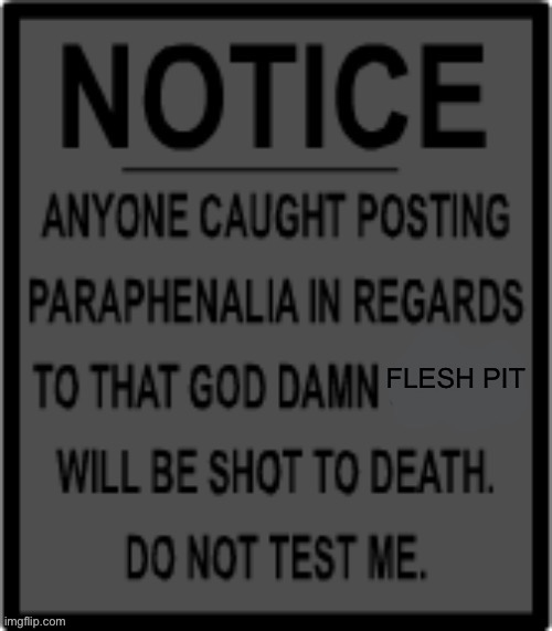 shitpost v2 | FLESH PIT | image tagged in paraphernalia,mystery flesh pit status | made w/ Imgflip meme maker