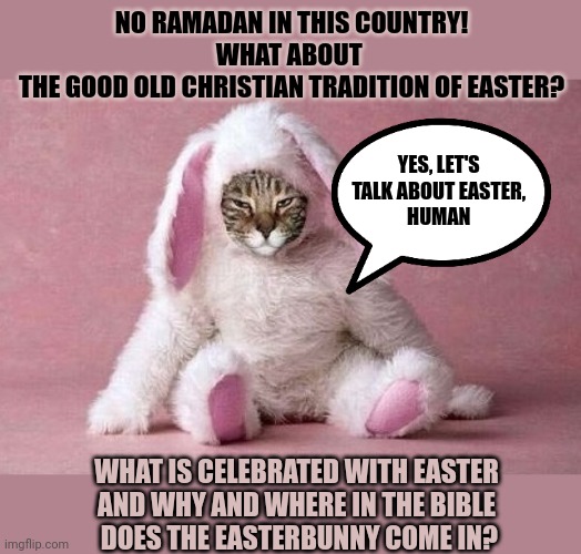 This #lolcat wonders what the Bible says of the Easter bunny | NO RAMADAN IN THIS COUNTRY!
WHAT ABOUT 
THE GOOD OLD CHRISTIAN TRADITION OF EASTER? YES, LET'S 
TALK ABOUT EASTER, 
HUMAN; WHAT IS CELEBRATED WITH EASTER
AND WHY AND WHERE IN THE BIBLE
 DOES THE EASTERBUNNY COME IN? | image tagged in lolcat,easter,easter bunny,bible,tradition,ramadan | made w/ Imgflip meme maker