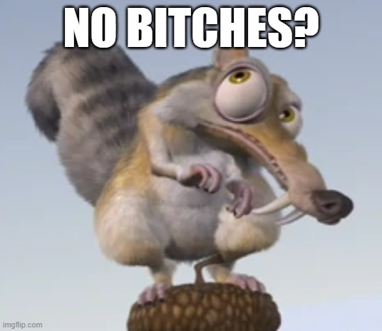 No bitches? scrat from ice age | NO BITCHES? | image tagged in ice age,scrat,squirrel,squirrel nuts,no bitches | made w/ Imgflip meme maker