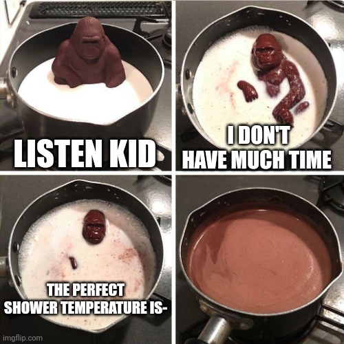 chocolate gorilla | LISTEN KID; I DON'T HAVE MUCH TIME; THE PERFECT SHOWER TEMPERATURE IS- | image tagged in chocolate gorilla | made w/ Imgflip meme maker