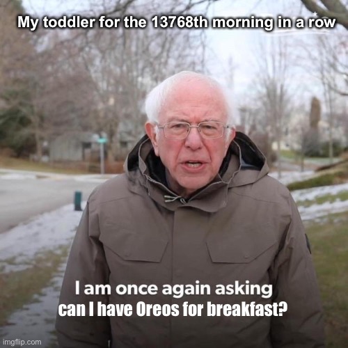 Bernie I Am Once Again Asking For Your Support | My toddler for the 13768th morning in a row; can I have Oreos for breakfast? | image tagged in memes,bernie i am once again asking for your support | made w/ Imgflip meme maker
