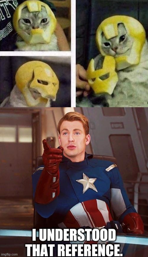 Iron Cat | image tagged in captain america i understood that reference | made w/ Imgflip meme maker