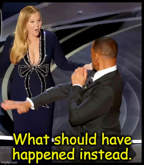 Schumer Slap | What should have happened instead. | image tagged in will smith,amy schumer,oscar slap,2022 oscars,amy schumer sucks,will smith slaps | made w/ Imgflip meme maker