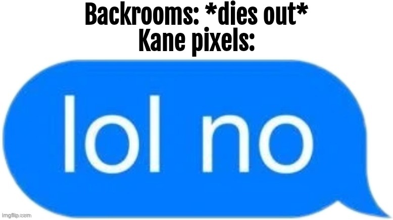 lol no | Backrooms: *dies out*
Kane pixels: | image tagged in lol no | made w/ Imgflip meme maker