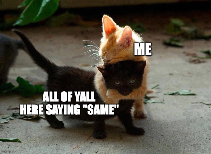 ME ALL OF YALL HERE SAYING "SAME" | image tagged in kitten hug | made w/ Imgflip meme maker