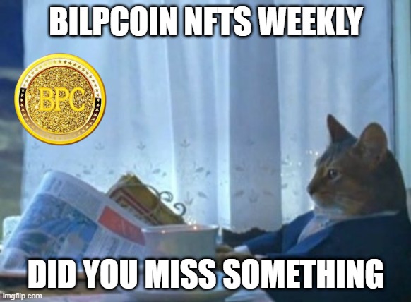 I Should Buy A Boat Cat Meme | BILPCOIN NFTS WEEKLY; DID YOU MISS SOMETHING | image tagged in memes,i should buy a boat cat | made w/ Imgflip meme maker