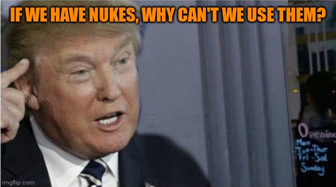 You know for only good purposes like altering the path of hurricanes | IF WE HAVE NUKES, WHY CAN'T WE USE THEM? | image tagged in roll safe trump edition | made w/ Imgflip meme maker