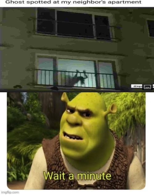 The Ghost been looking kinda sus | image tagged in shrek wait a minute,ghost,sus | made w/ Imgflip meme maker