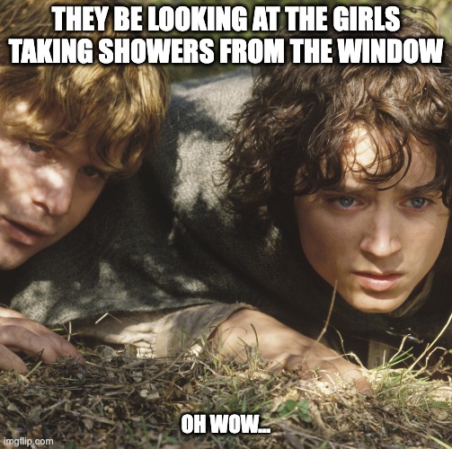 Perverts | THEY BE LOOKING AT THE GIRLS TAKING SHOWERS FROM THE WINDOW; OH WOW... | image tagged in funny | made w/ Imgflip meme maker