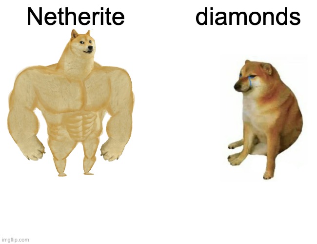 Buff Doge vs. Cheems Meme | Netherite; diamonds | image tagged in memes,buff doge vs cheems | made w/ Imgflip meme maker