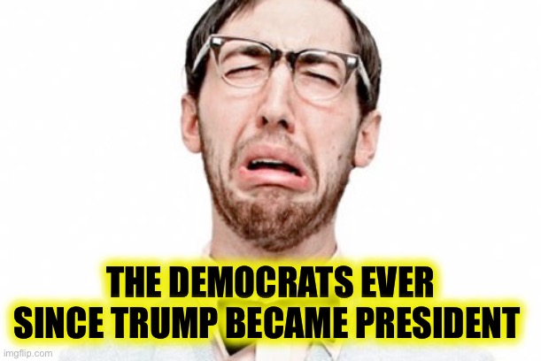 Whiner dude | THE DEMOCRATS EVER SINCE TRUMP BECAME PRESIDENT | image tagged in whiner dude | made w/ Imgflip meme maker