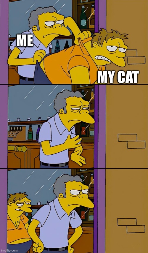 Moe throws Barney | ME; MY CAT | image tagged in moe throws barney | made w/ Imgflip meme maker