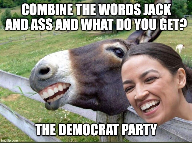AOC Donkey | COMBINE THE WORDS JACK AND ASS AND WHAT DO YOU GET? THE DEMOCRAT PARTY | image tagged in aoc donkey | made w/ Imgflip meme maker