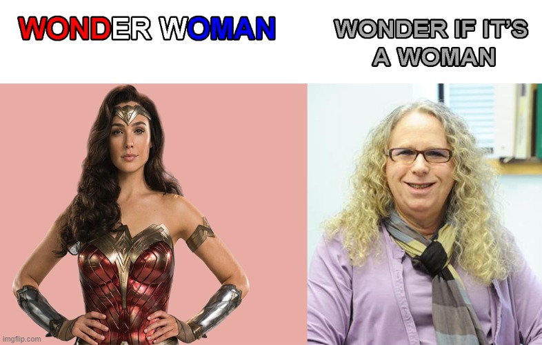 Cutting off your junk doesn't make you a woman | made w/ Imgflip meme maker