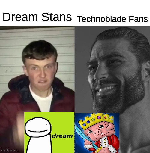 Dream< Technoblade | Technoblade Fans; Dream Stans | image tagged in average fan vs average enjoyer | made w/ Imgflip meme maker