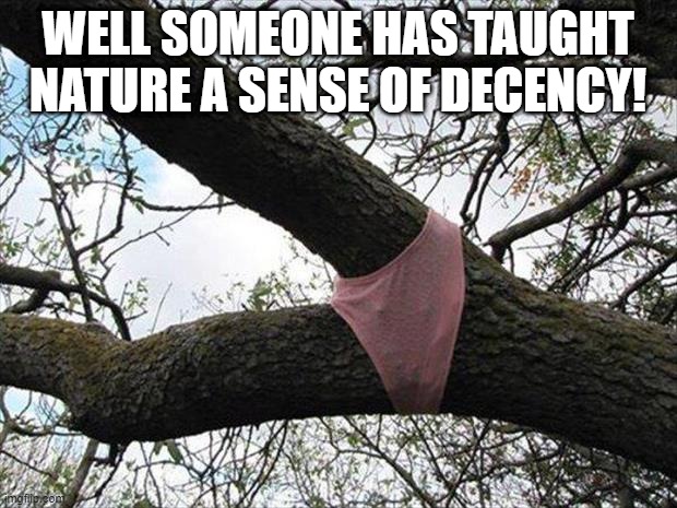 Put Something On! | WELL SOMEONE HAS TAUGHT NATURE A SENSE OF DECENCY! | image tagged in sex jokes | made w/ Imgflip meme maker