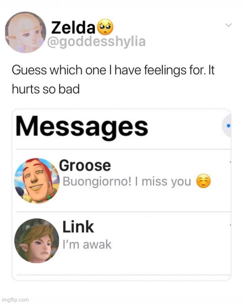 Is this title necessary? | image tagged in legend of zelda,zelda,the legend of zelda,sleep,text messages,tag | made w/ Imgflip meme maker