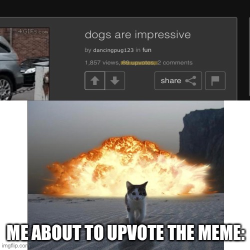 Da most creative title humanity has ever seen | ME ABOUT TO UPVOTE THE MEME: | image tagged in cat explosion,69,70,why did i even bother to put tags,why did you bother to red this | made w/ Imgflip meme maker
