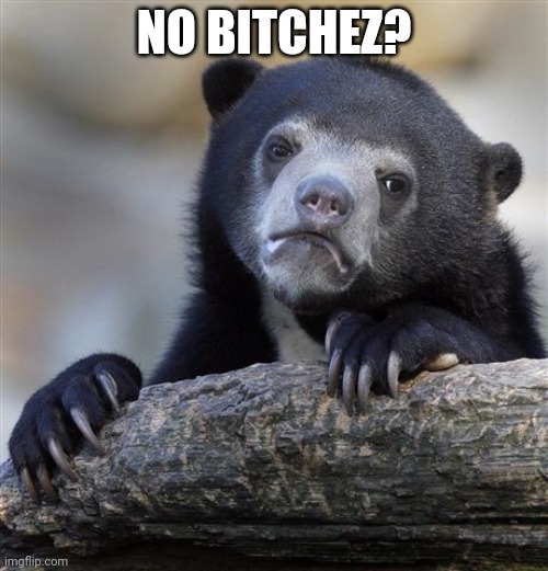 Confession Bear | NO BITCHEZ? | image tagged in memes,confession bear | made w/ Imgflip meme maker