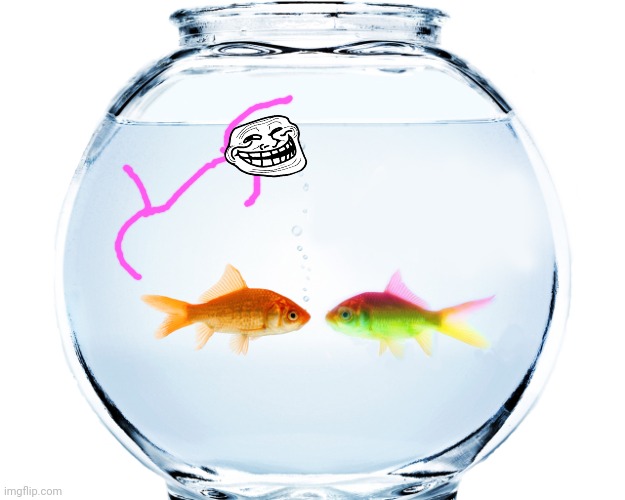 Fishbowl | image tagged in fishbowl | made w/ Imgflip meme maker