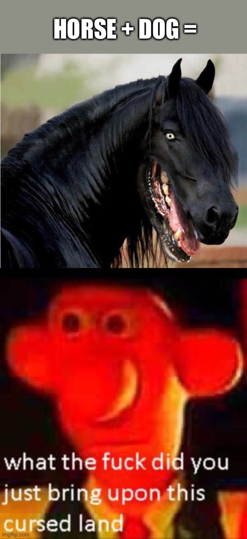I kinda want one ngl |  HORSE + DOG = | image tagged in what the f k did you just bring upon this cursed land | made w/ Imgflip meme maker