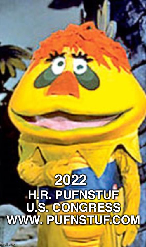HR Puffinstuff | 2022 H.R. PUFNSTUF 
U.S. CONGRESS 
WWW. PUFNSTUF.COM | image tagged in hr puffinstuff | made w/ Imgflip meme maker