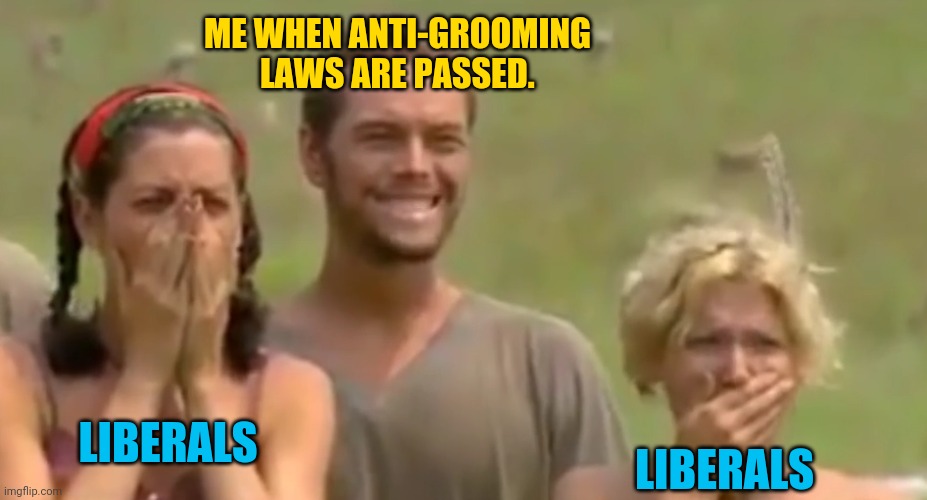 I hear liberals are devastated. | ME WHEN ANTI-GROOMING LAWS ARE PASSED. LIBERALS; LIBERALS | image tagged in survivor reaction | made w/ Imgflip meme maker