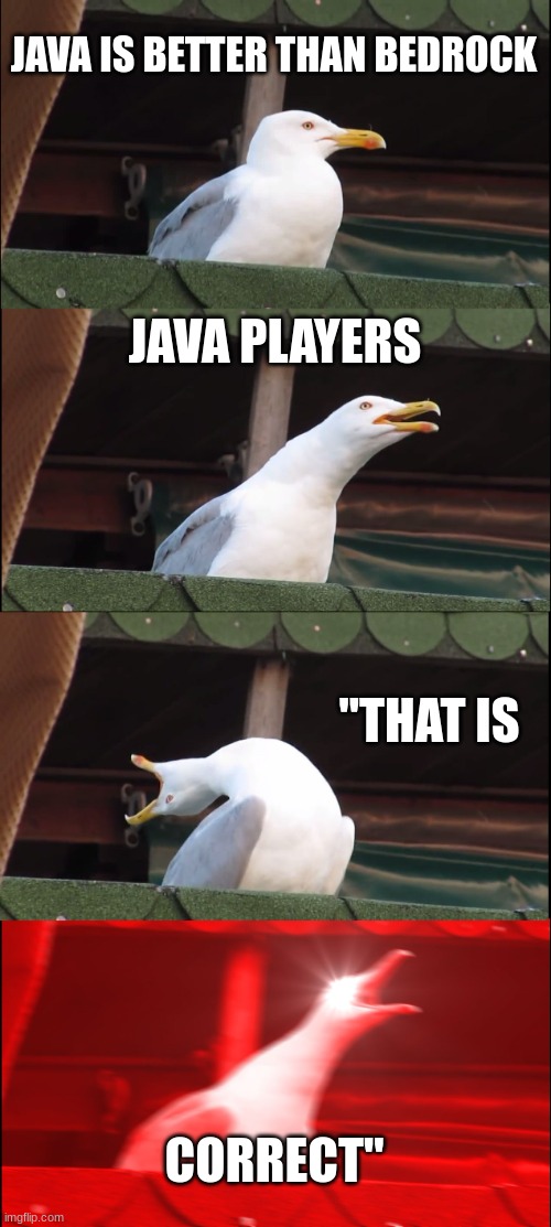 Inhaling Seagull | JAVA IS BETTER THAN BEDROCK; JAVA PLAYERS; "THAT IS; CORRECT" | image tagged in memes,inhaling seagull | made w/ Imgflip meme maker