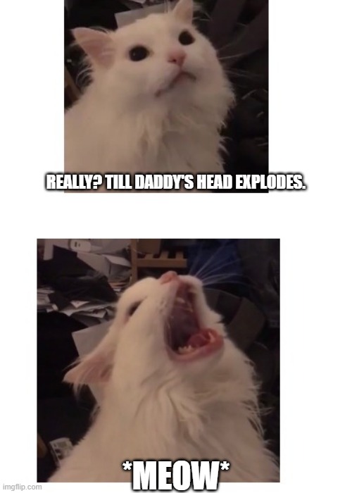 Thurston waffles | REALLY? TILL DADDY'S HEAD EXPLODES. *MEOW* | image tagged in thurston waffles | made w/ Imgflip meme maker