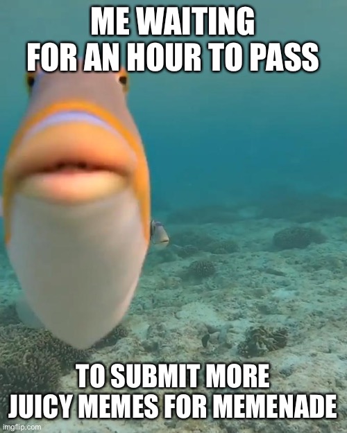 staring fish | ME WAITING FOR AN HOUR TO PASS; TO SUBMIT MORE JUICY MEMES FOR MEMENADE | image tagged in staring fish | made w/ Imgflip meme maker