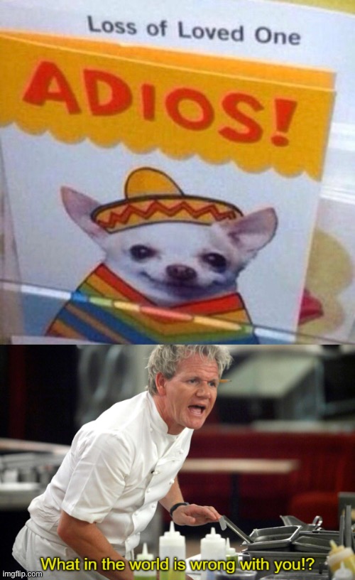 This is wrong | image tagged in gordan ramsay what in the world is wrong with you | made w/ Imgflip meme maker