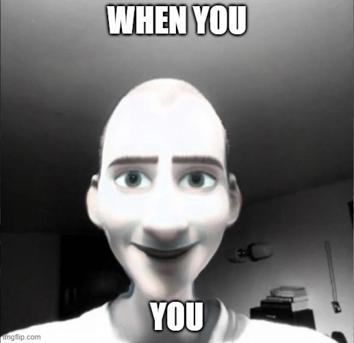 the dumbest meme i have ever made | WHEN YOU; YOU | image tagged in stupid | made w/ Imgflip meme maker