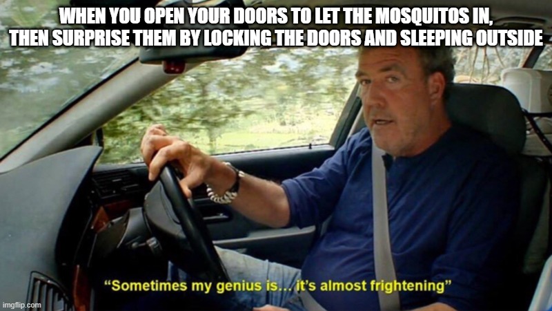 sometimes my genius its almost frightening | WHEN YOU OPEN YOUR DOORS TO LET THE MOSQUITOS IN, THEN SURPRISE THEM BY LOCKING THE DOORS AND SLEEPING OUTSIDE | image tagged in sometimes my genius its almost frightening | made w/ Imgflip meme maker