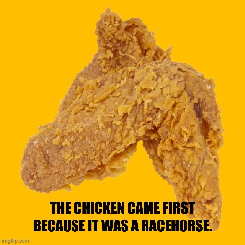 THE CHICKEN CAME FIRST BECAUSE IT WAS A RACEHORSE | image tagged in chicken,racehorse,chicken and egg | made w/ Imgflip meme maker