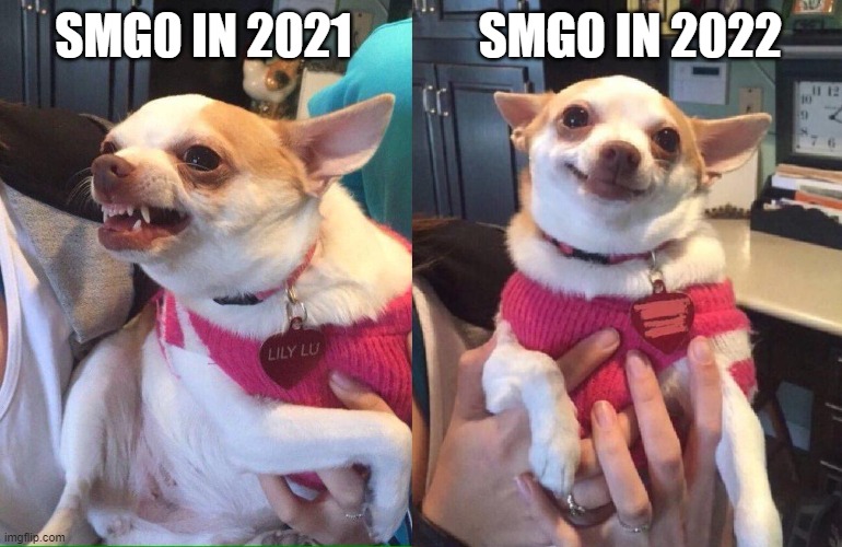 smg0 in 2021 and 2022 | SMG0 IN 2022; SMG0 IN 2021 | image tagged in chihuahua meme,smg4,smg0 | made w/ Imgflip meme maker