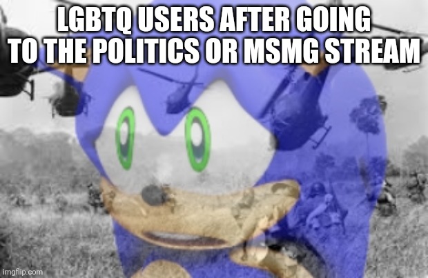 :( | LGBTQ USERS AFTER GOING TO THE POLITICS OR MSMG STREAM | image tagged in sonic veitnam war | made w/ Imgflip meme maker