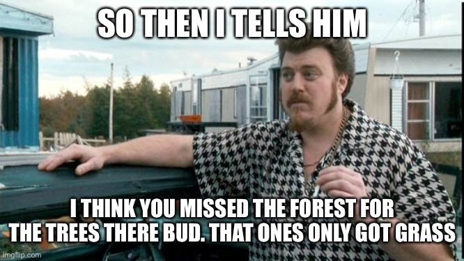 ricky trailer park boys | SO THEN I TELLS HIM; I THINK YOU MISSED THE FOREST FOR
THE TREES THERE BUD. THAT ONES ONLY GOT GRASS | image tagged in ricky trailer park boys | made w/ Imgflip meme maker