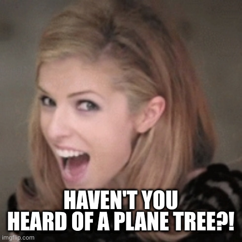 Anna kendrick | HAVEN'T YOU HEARD OF A PLANE TREE?! | image tagged in anna kendrick | made w/ Imgflip meme maker