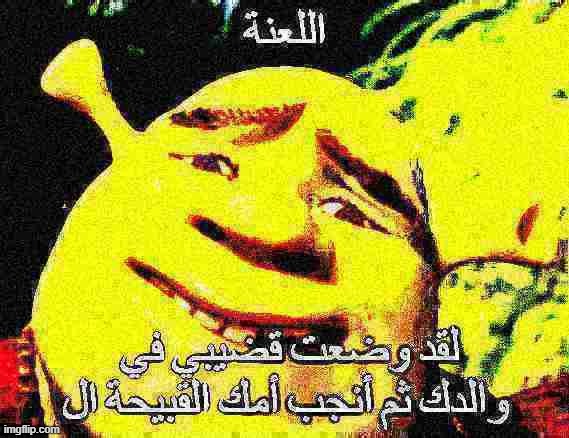 Shrek Arabic profanity | image tagged in shrek arabic profanity | made w/ Imgflip meme maker