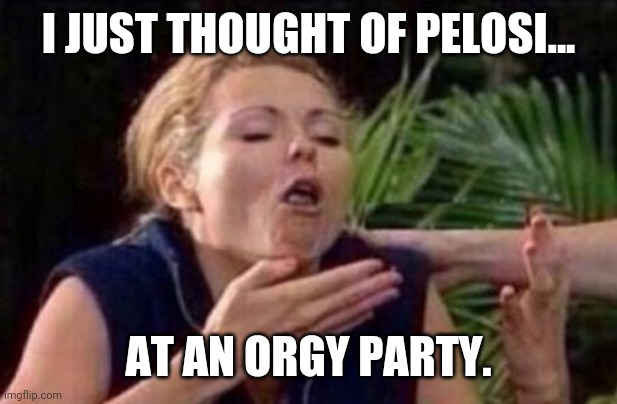 I just puked. | I JUST THOUGHT OF PELOSI... AT AN ORGY PARTY. | image tagged in memes | made w/ Imgflip meme maker