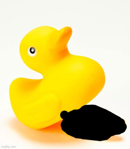 Totally a duck. Nothing to see. | made w/ Imgflip meme maker