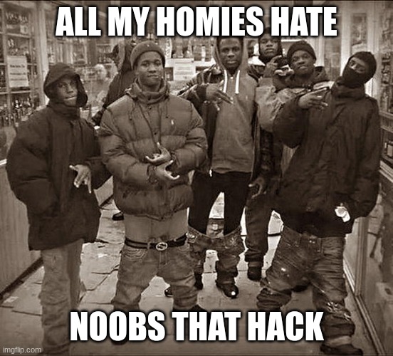 All My Homies Hate | ALL MY HOMIES HATE; NOOBS THAT HACK | image tagged in all my homies hate | made w/ Imgflip meme maker