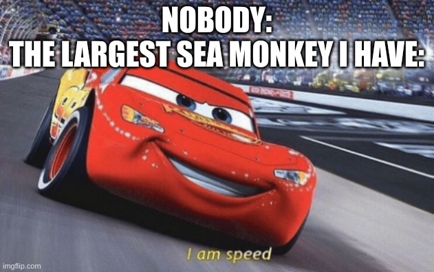 I am speed | NOBODY:
THE LARGEST SEA MONKEY I HAVE: | image tagged in i am speed | made w/ Imgflip meme maker